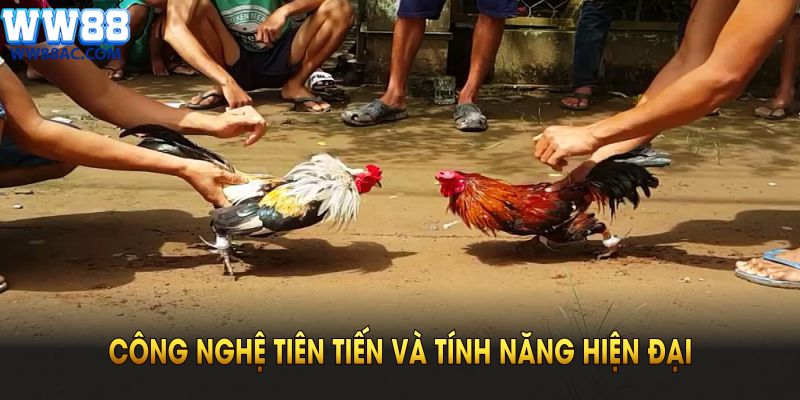 Đá Gà WW88 tích hợp công nghệ tiên tiến và tính năng hiện đại
