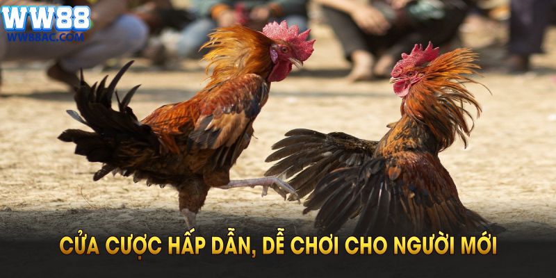 Cửa cược hấp dẫn, dễ chơi cho người mới tại nhà cái WW88