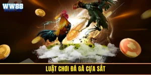 Luật chơi đá gà cựa sắt