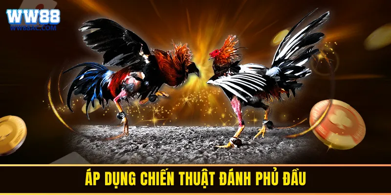 Áp dụng chiến thuật đánh phủ đầu