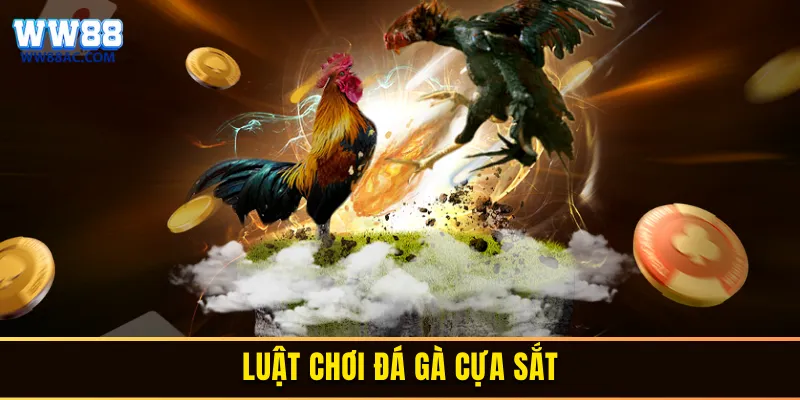 Luật chơi đá gà cựa sắt