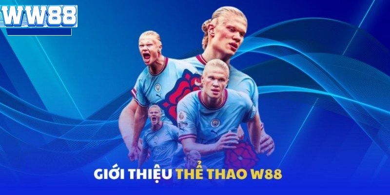 Đánh giá sơ lược về lĩnh vực giải trí thể thao WW88