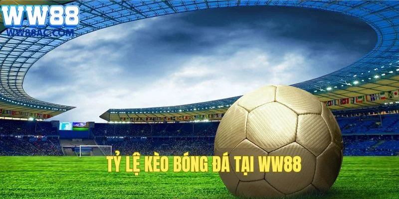 tỷ lệ kèo bóng đá